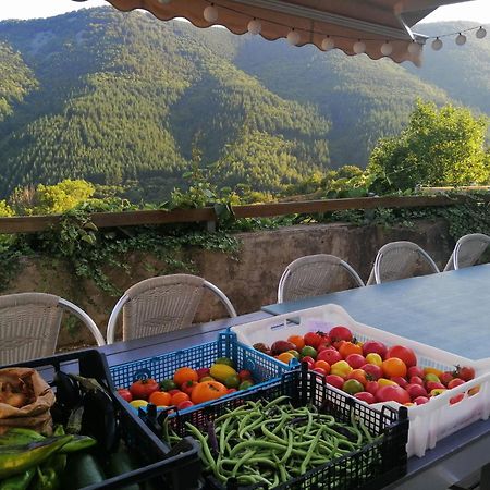 Les Chambres De La Ferme De Chalas Valgorge Luaran gambar